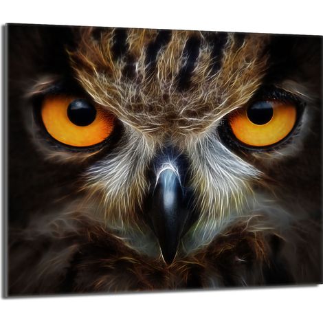 Placa protectora de vidrio para estufa 60x52 Búho (1/5)
