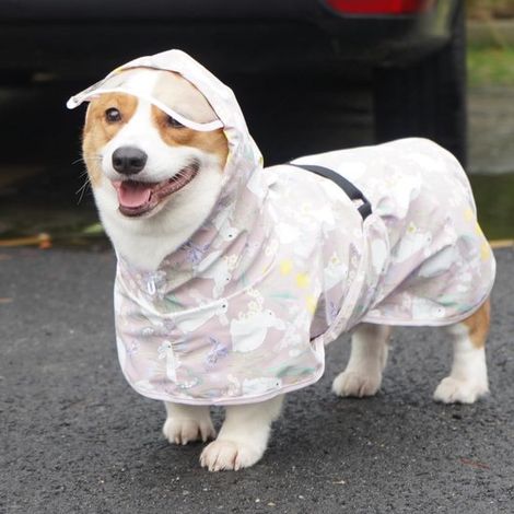 Hunde-Regenmantel mit Kapuze, Belüftungslöchern, wasserdicht, reflektierend, winddicht, für kleine und mittelgroße Hunde, transparent (1/4)