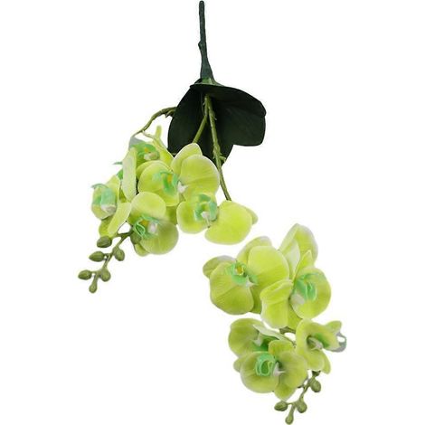 Orchidée papillon artificielle, fleurs d'orchidées papillonvert (1/5)