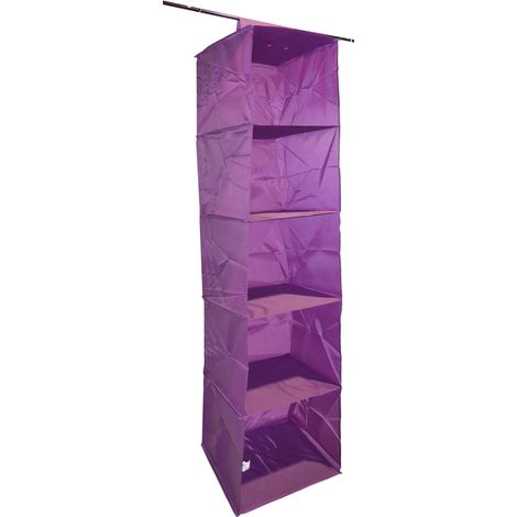 Organisateur de penderie en pvc 5 cases will b Prune (1/3)