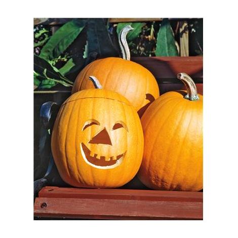 POTIRON JACK O LANTERN - 5 G