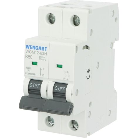 Disjoncteur Magnéto-Thermique 2P - 50A Courbe B AC 230V/400V Pouvoir de Coupure 10kA Idéal pour Bornes de Recharge VE,Pompes à Chaleur et Tableaux Industriels (1/5)