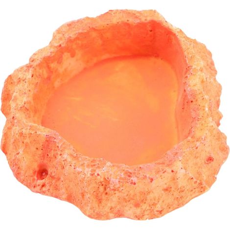 Non-slip Resin Reptile Bowl for Lizards, Orange (1/5)