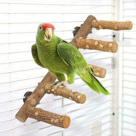 Perchoir en bois naturel avec échelle pour oiseaux, support pour cage, jouet pour perroquets de petite et moyenne taille (1/5)