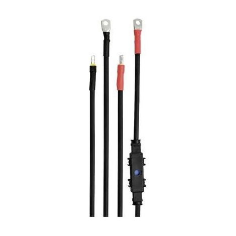 IVT Kit cavi DSW-Serie 1.00 m 35 mm² 431004 Adatto per modello (Inverter):IVT DSW-1200/12 V FR, IVT DSW-1200/24 V FR, I (1/2)