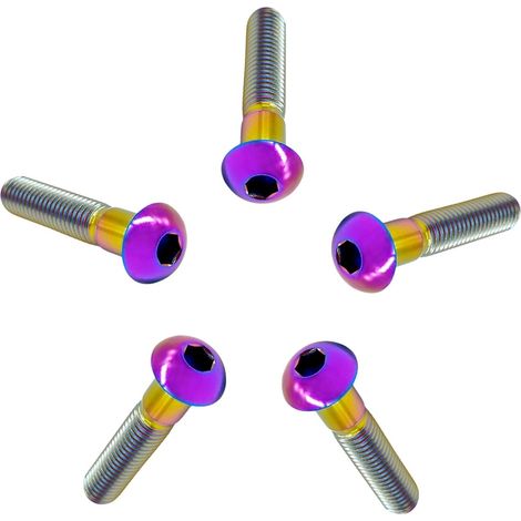 Vis à Tête Bombée M4/M5/M6/M8 en Titane GR5, 5 Pièces Vis à Tête de Bouton Boulons à Six Pans Creux Allen Boulon à Douille Hexagonale Vis à Métaux (1/5)