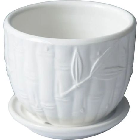 Pot de fleurs rigolo avec visage de fille, souche d'arbre, pot de fleurs