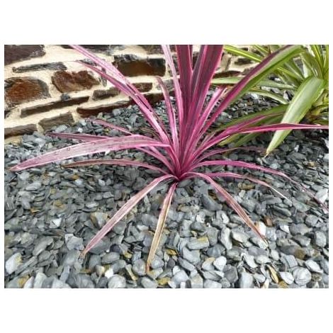 Paillage Ardoise GRIS  10-30  Pack 17 m² - 40 sacs - 1000 kg
