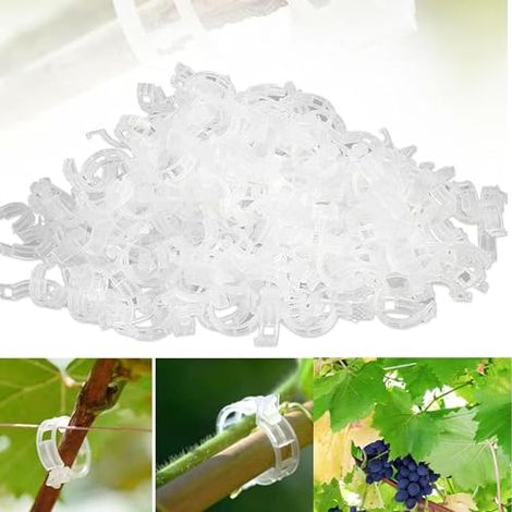Plant Support Clips de Jardin Tomate Clips Support, Clips de Support pour Plantes de Jardin Clips pour Les légumes Tomate Vigne tiges de Croissance Droit et Plus Sain (100, Transparent) (1/4)