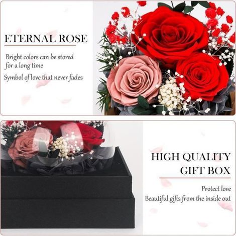Rose Éternelle, Cadeau de Fête des Mères, Dôme Verre Rose Éternelle avec Lumière LED, Cadeau pour Femme Maman Petite Amie Epouse (1/4)