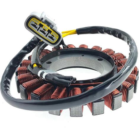 Statorspule 12317724032 für BMW R1200GS, R 1200 GS K50, R1200 GS ADV K51, R1200R K53, R1200RS K54, 12318356824, 12318526908 (1/5)