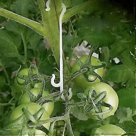 100Pices 13CM Clips de Fixation pour Plantes de Jardin,Clips de Support pour Plantes Grimpantes,Clips Pour Tomate,Support Tomate (1/5)