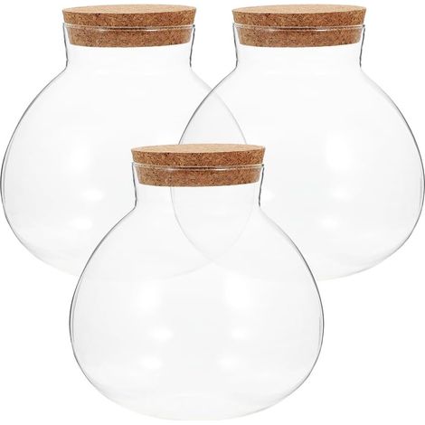 Terrarium en verre 3 pièces avec bouchon en liège Bouteille micropaysage pour bureau Bouteille écologique en verre transparent DIY Bouteille vide pour plantes Bouteille en verre mousse Maison (1/5)