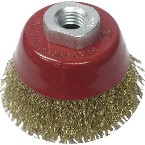 Spazzola per vetro Stein 60mm m14 (1/2)