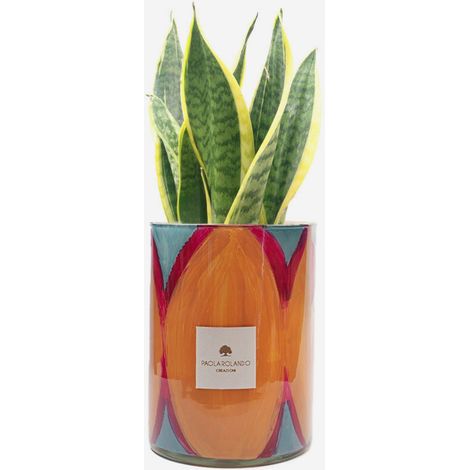Sansevieria in vaso di vetro decorato a mano Diamante H 15 - Arancione