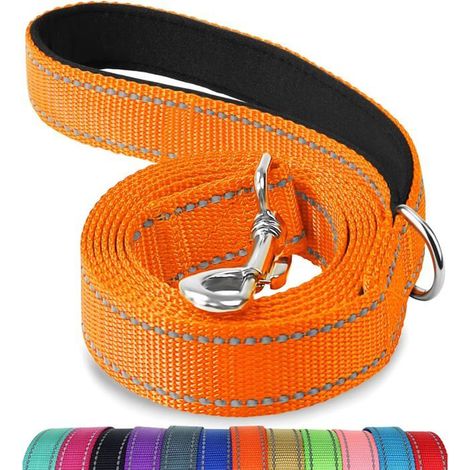 Ecleanfy - Laisse Double Face Réfléchissante Robuste pour Chien, avec Poignée Rembourée,1.2m x 2cm,Orange (1/5)