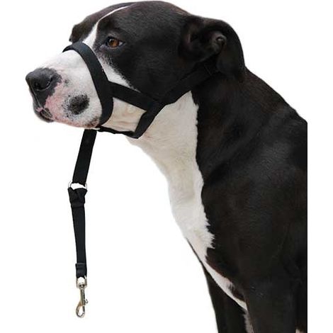 Dog guider Ibáñez Dogway DOG GUIDER IBÁÑEZ DOGWAY M (1/5)