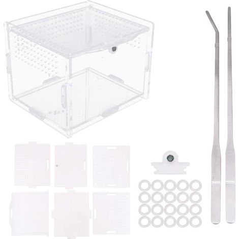 Boîte à Nourrir en Acrylique pour Reptiles,Terrariums pour Insectes, 10 x 8 x 7 cm en Verre Transparent avec 2 Pinces Droites et courbées pour Animaux domestiques, araignées, Crickets, escargots (1/5)