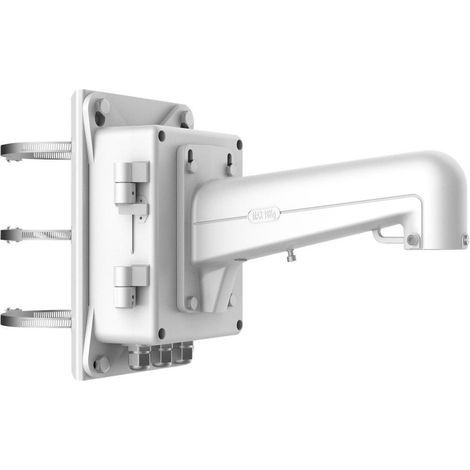 LevelOne CAS-7335 cameras de security and mounting for housing Monte (1/2)