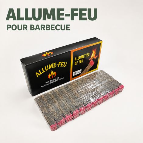 Allumettes allume-feu barbecue camping bloc marron tête rouge 16 × 6,5 × 1,2 cm 150 g – Livraison gratuite (1/5)