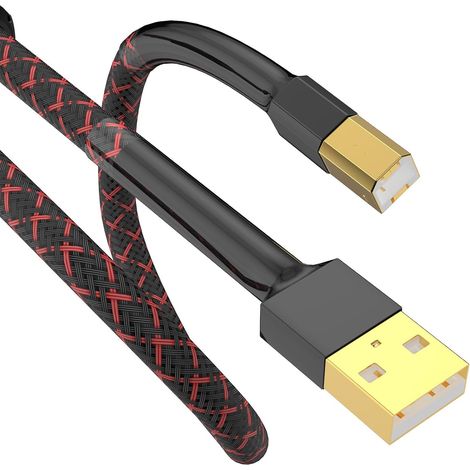 Câble HiFi 1 m USB-A vers USB-B pour Dac, Imprimante, Streaming Audio, Ordinateur, Carte Son, Décodeur, Amplificateur, Lecteur (1/5)