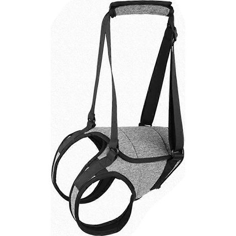 Harnais de levage XL pour chien, ajustable, avec soutien des hanches et du dos, pour la rééducation des ligaments et autres affections. (1/5)
