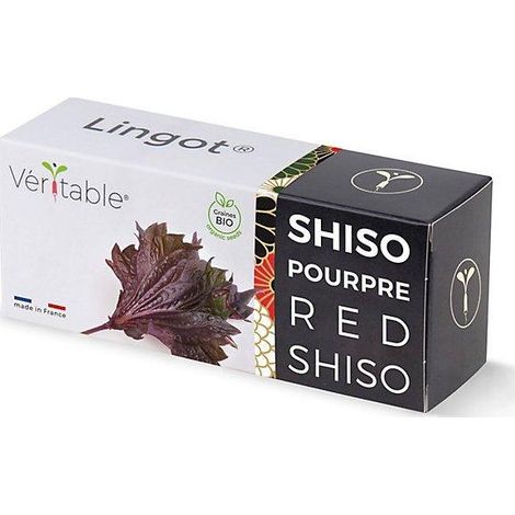 Recarga lista para usar Lingot Shiso púrpura BIO