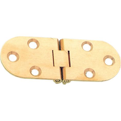 Blister cerniera a biscotto con fermo ottone 2 pezzi (1/2)