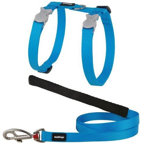 Harnais et laisse Red Dingo Chats turquoise (1/5)