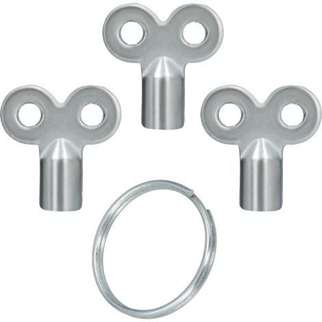 Set di 3 portachiavi con chiavi per la valvola di sfiato del radiatore.