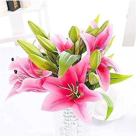 Fleurs Artificielles Faux Fleurs de Lys 5 Bouquets Faux Bouquet de Fleurs Real Touch Latex Artificial Lilies Flowers Faux Bouquets de Mariage Lily pour décor de fêtes de Mariage(Rose foncé)-Fei Yu (1/5)