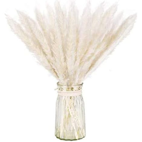 Paquet séché naturel d'herbe de pampa sèche pour la décoration intérieure 30pcs blanc (1/5)