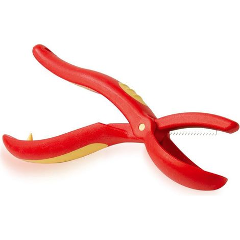 Tagliacastagne SNIPS - Utensile Resistente e Pratico per Castagne