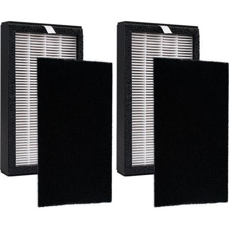 Lntyq Ensemble de filtres de rechange FLT4100 compatibles avec les purificateurs d'air GermGuardian AC4100 AC4100CA AC4150BL AC4150PCA AC4150PC AC4175W Filtre E, lot de 2 H13 HEPA