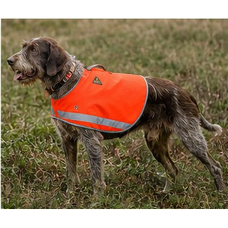 Gilet de sécurité Stepland orange fluo XL/2XL pour grand chien