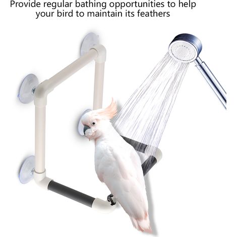 Perchoir portable pour perroquets avec ventouses, à fixer sur une fenêtre, une douche ou un mur, en plastique. Jouet sur pied. (1/5)