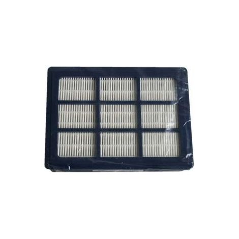 H10 FILTRE HEPA POWER P10 POUR ASPIRATEUR NILFISK ADVANCE