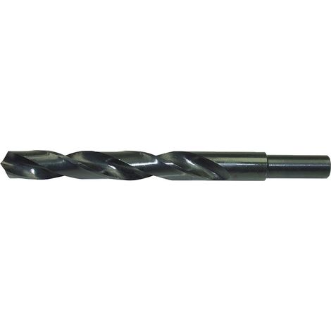 Spiralbohrer DIN338 HSS rollgewalzt Typ N Schaft abgesetzt 10mm/ 11,0mm FORTIS (1/5)