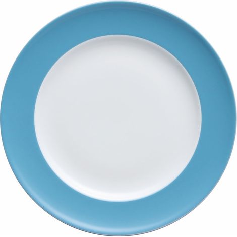 Assiette 22 cm biseau Bleu (1/4)
