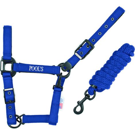 POOL'S Cavezza nylon BLU con lunghina MISURA PONY