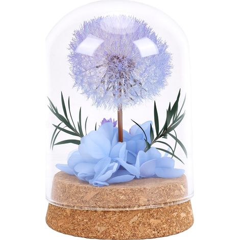 Pissenlit préservé dans un dôme en verre, ornement réaliste et durable, cadeau attentionné pour la décoration, bleu (1/5)