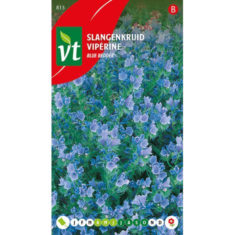 Viperine Blue Bedder - Ca. 1 gr (Livraison Gratuite)