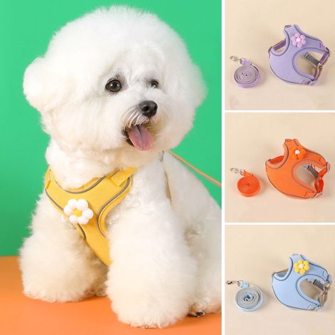 Harnais Chien - Réglable avec Boucle - Bandes Réfléchissantes - Design Floral - Pour Chiens de Petite et Moyenne Taille - 1 Pièce Harnais + 1 Laisse 150 cm (1/5)