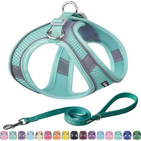 Harnais pour chien No Pull - Step en harnais réglable avec gilet rembourré - Laisse pour chien avec poignée rembourrée douce - Facile à mettre pour les chiens de petite et moyenne taille (1/5)