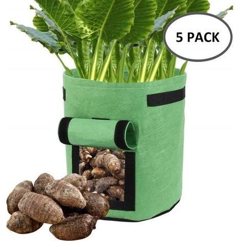 Plantation Bags - Set of 5 - Green - 23x28cm - 15 Liters - Rectangular Shape (1/4)