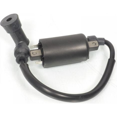Hochspannungs-Zündspule Teknix für Roller Honda 125 Fes S-Wing (1/4)