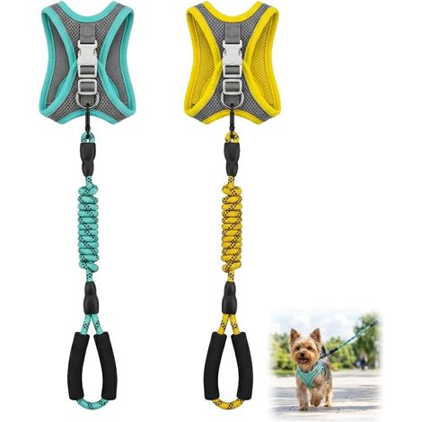 2 Pièces Harnais Chien avec Laisse, Anti Traction pour Chien Petit, Respirant Réfléchissan Réglable Harnais pour Chiot (1/5)
