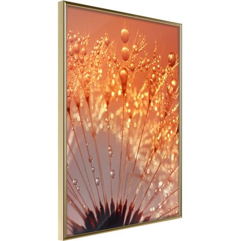 Affiche Murale Encadrée "Orange Breath of the Summer" 21 x 30 cm Or