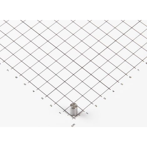 Magna-C Stabgreifer aus Neodym Ø6x10mm ohne Befestigung