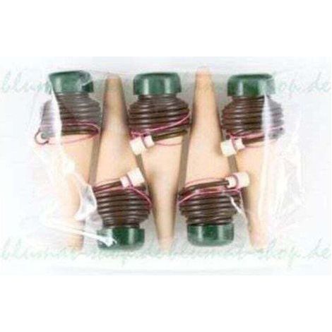 XL Lot de 5 distributeurs d'eau pour grandes plantes d'intérieur (1/2)